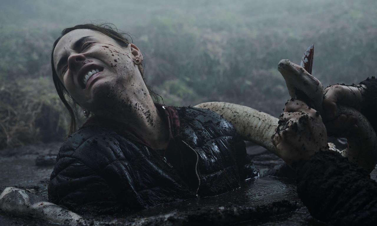 header image for Quicksand