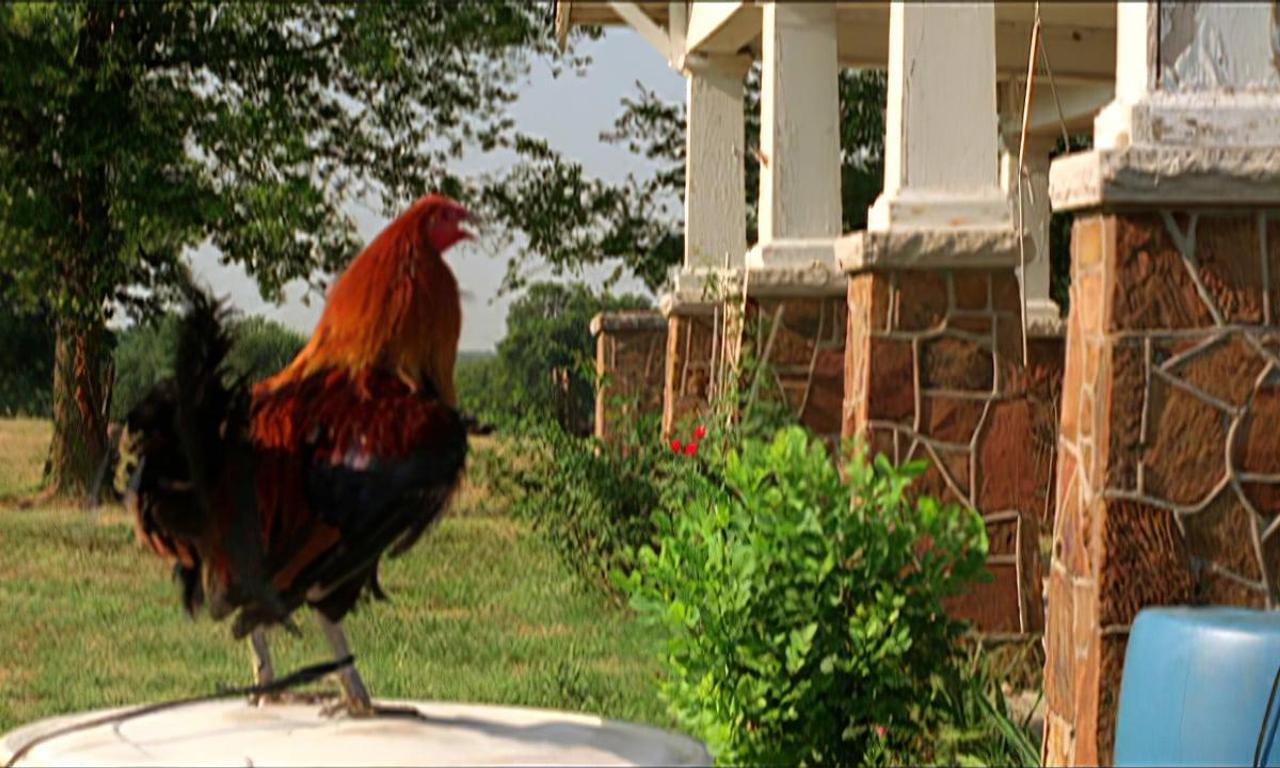 header image for The Round and Round