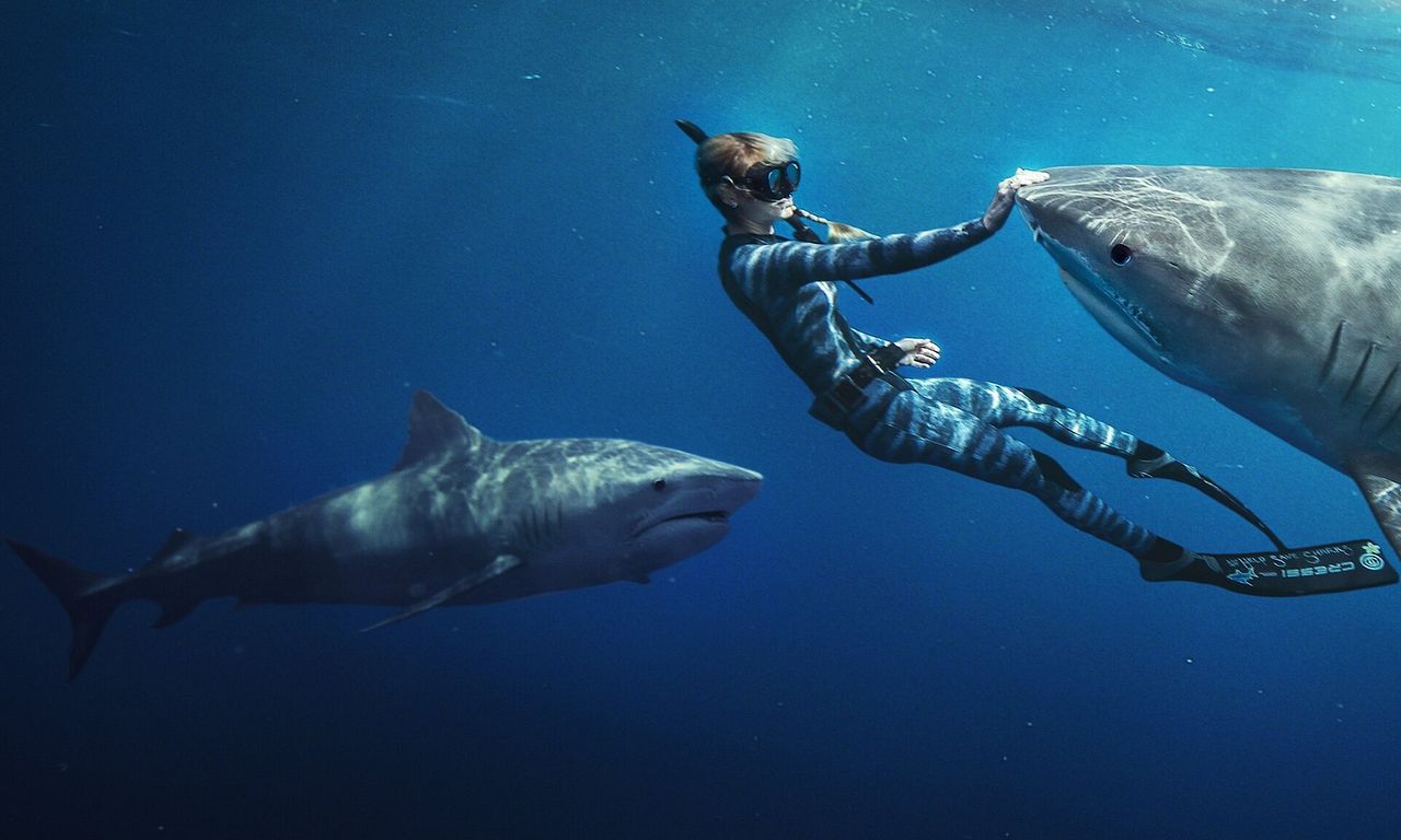 header image for Shark Whisperer