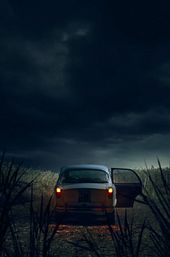 The Monster of Florence