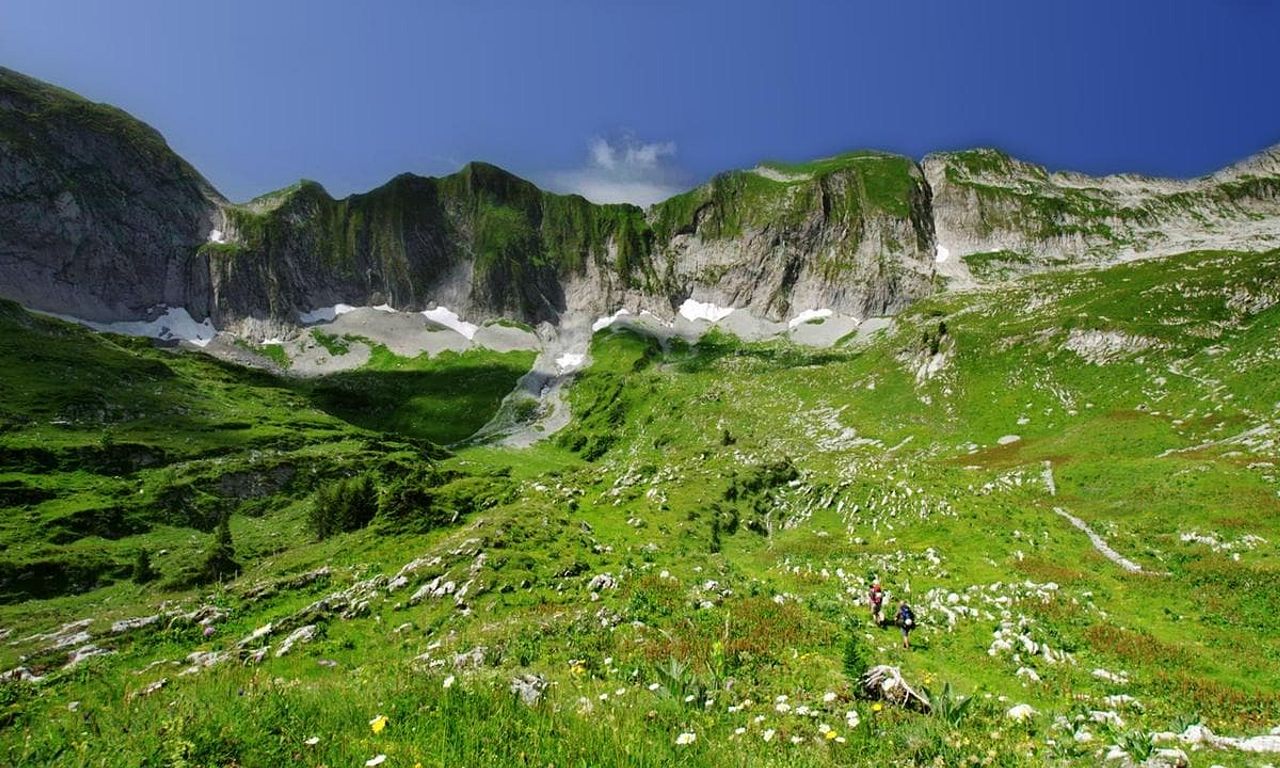 header image for Wild Switzerland