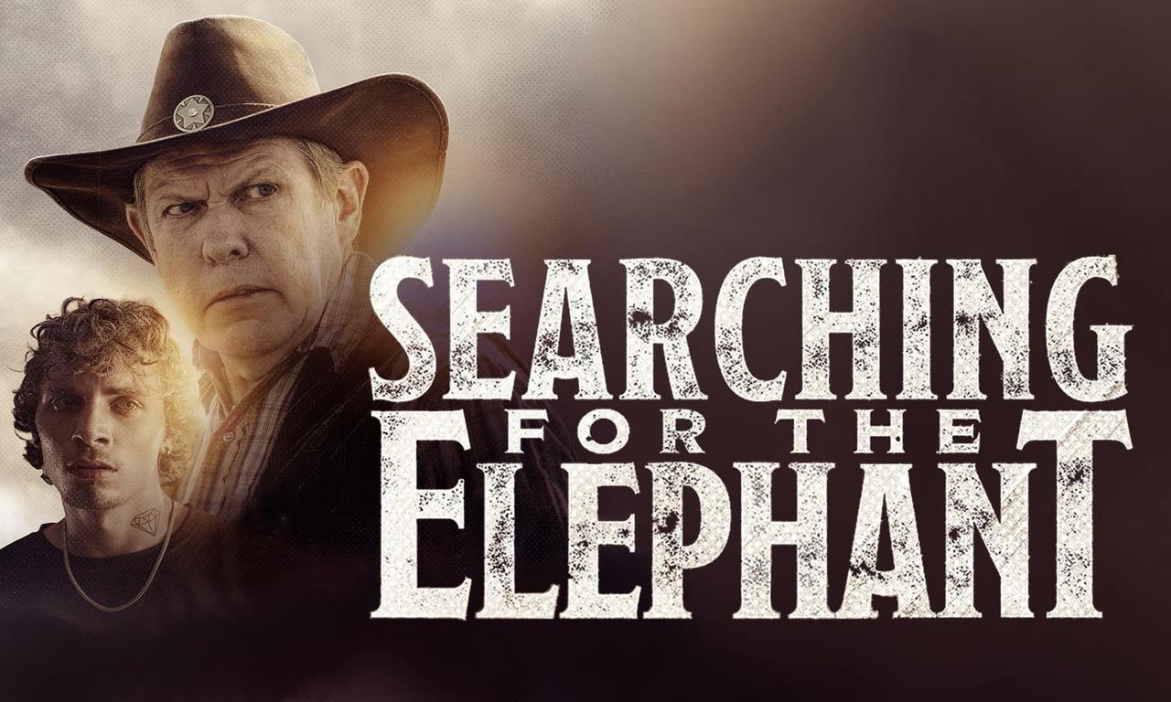 header image for Searching for the Elephant