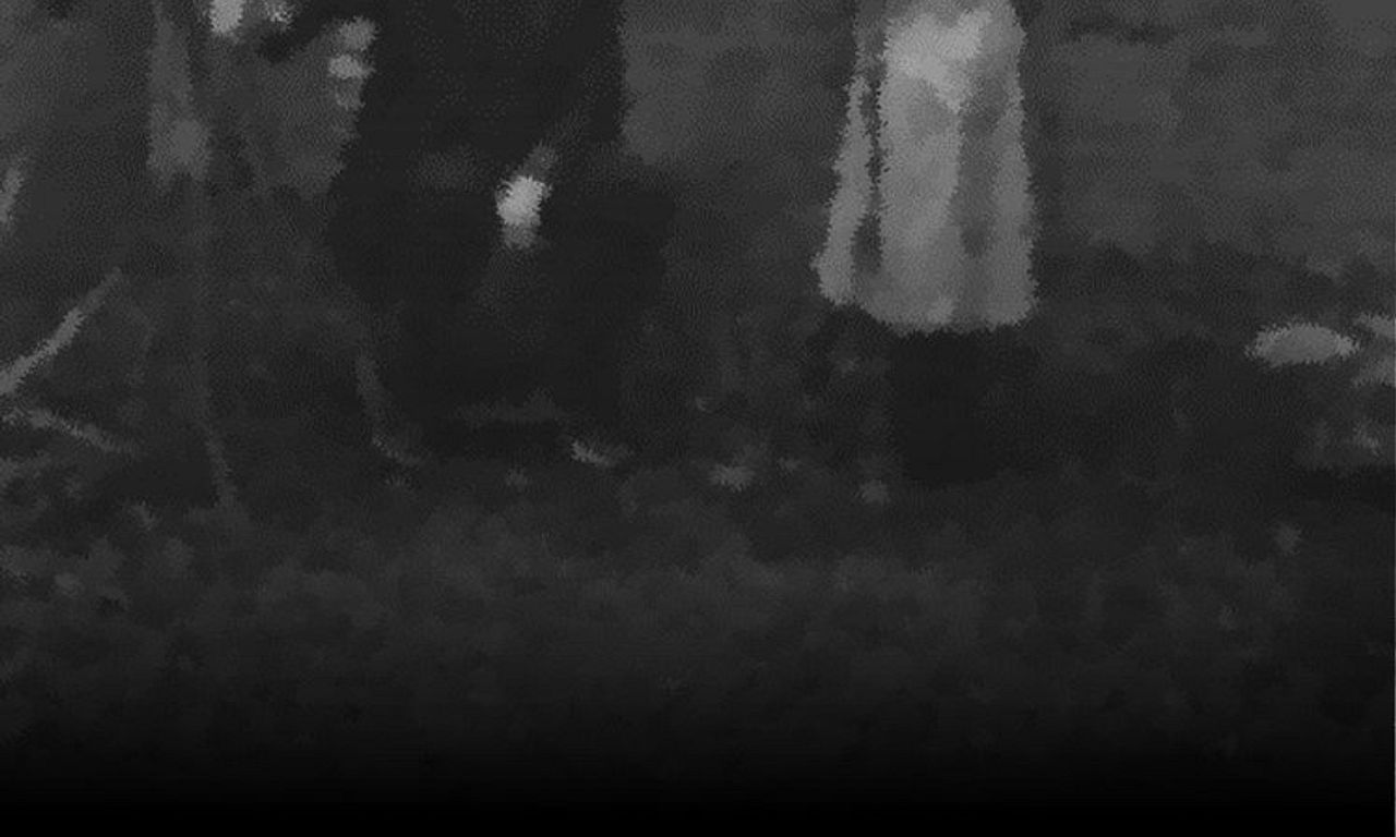 header image for The Last Journey