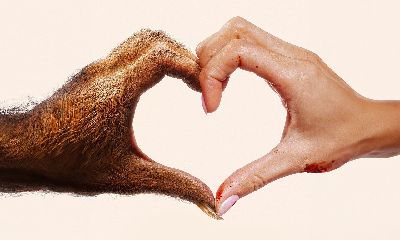 header image for Your Monster