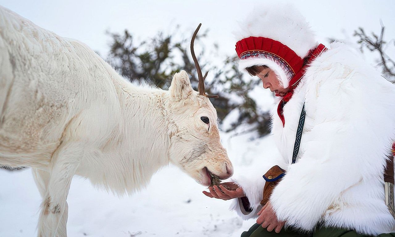 header image for Stolen