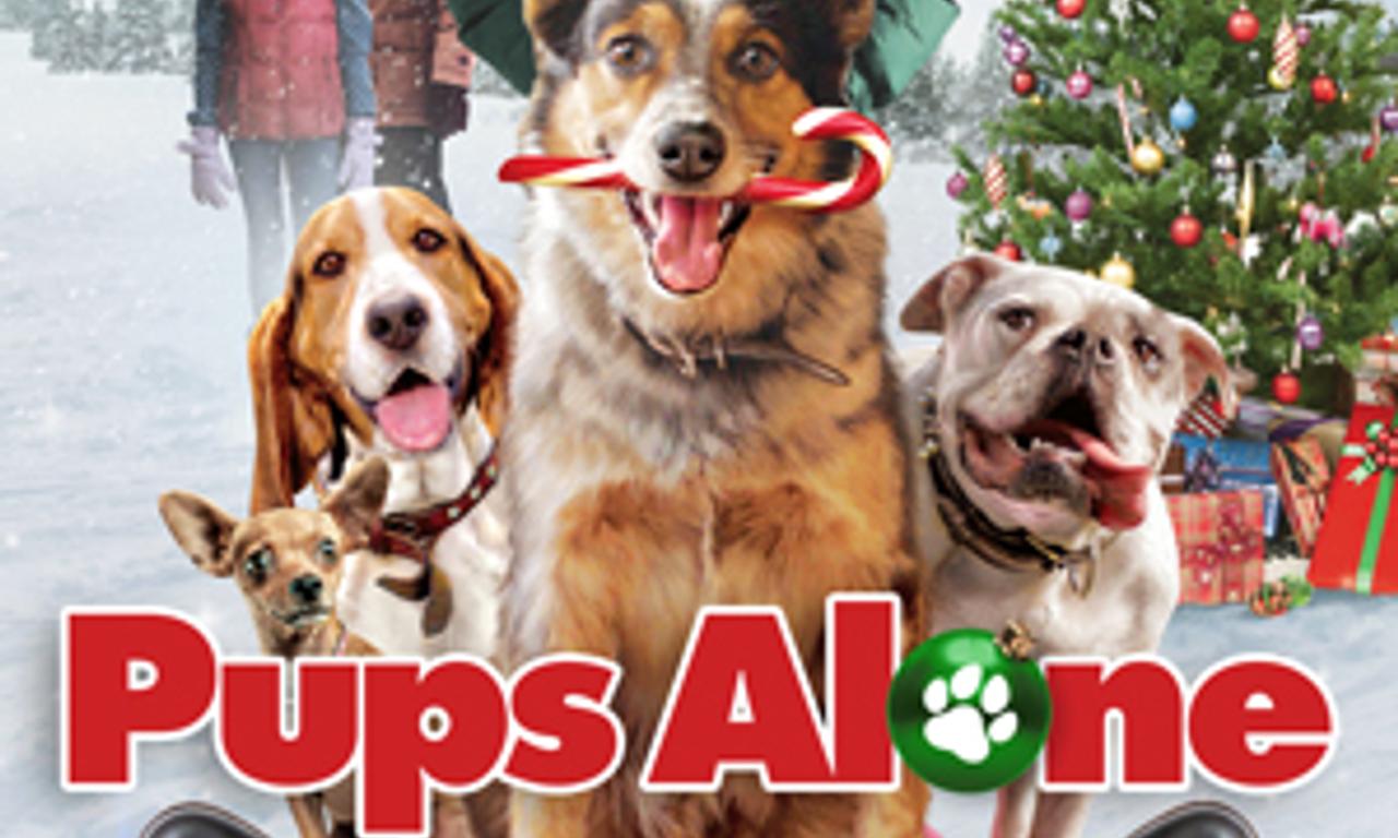 header image for Pups Alone