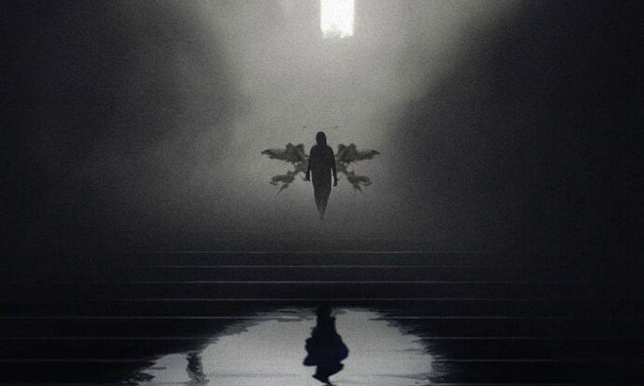 header image for Libélula