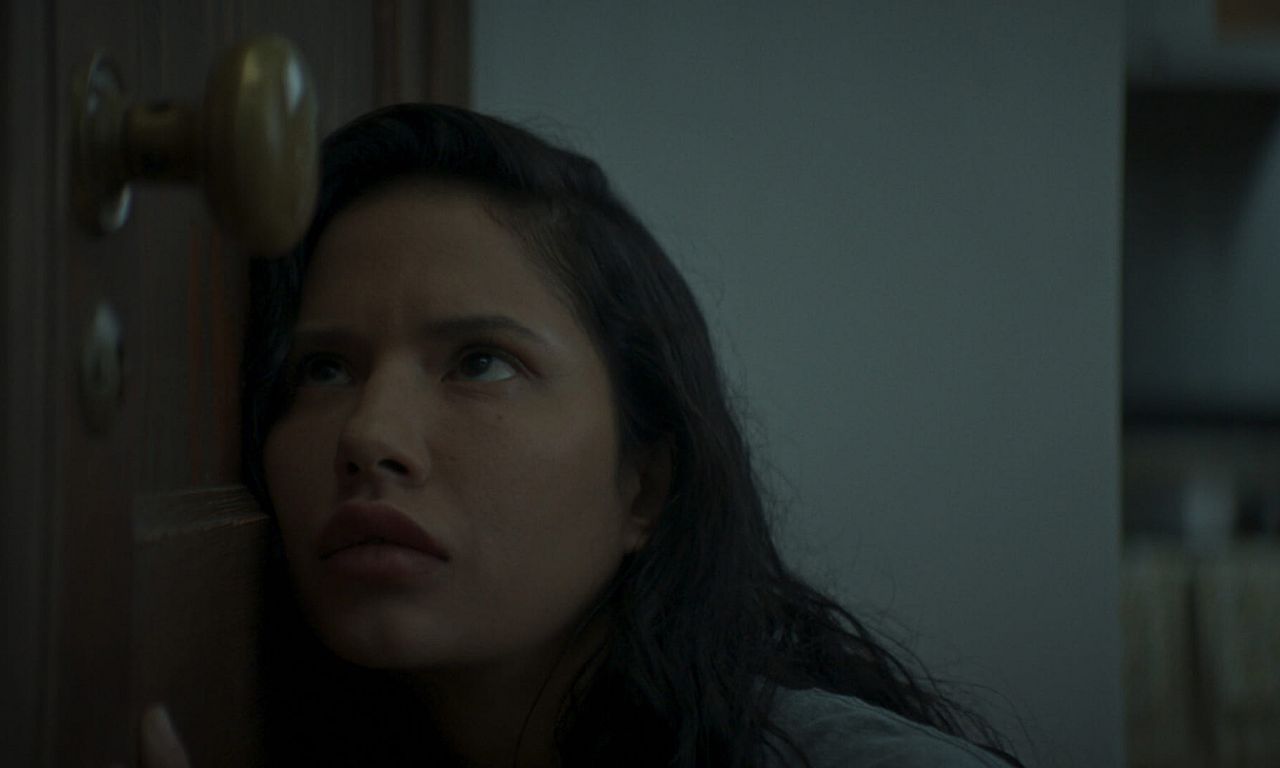 header image for The Door