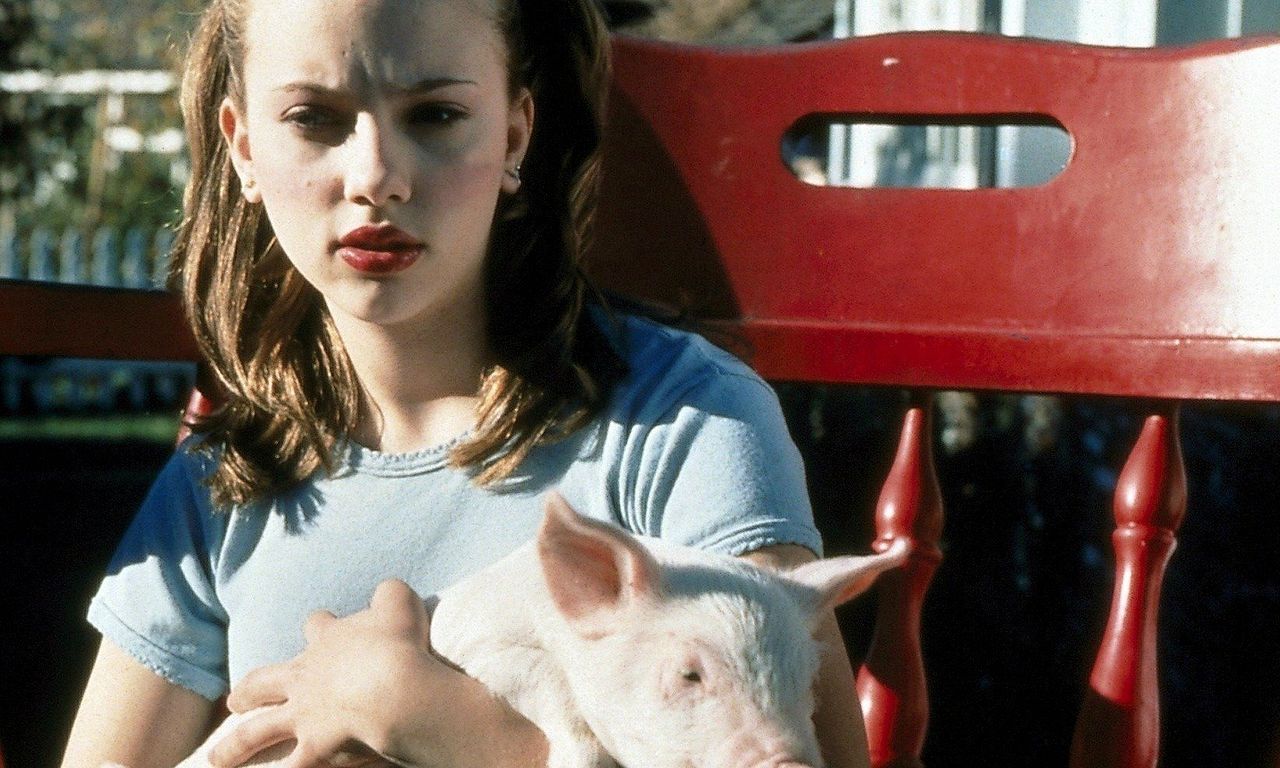 header image for My Brother the Pig