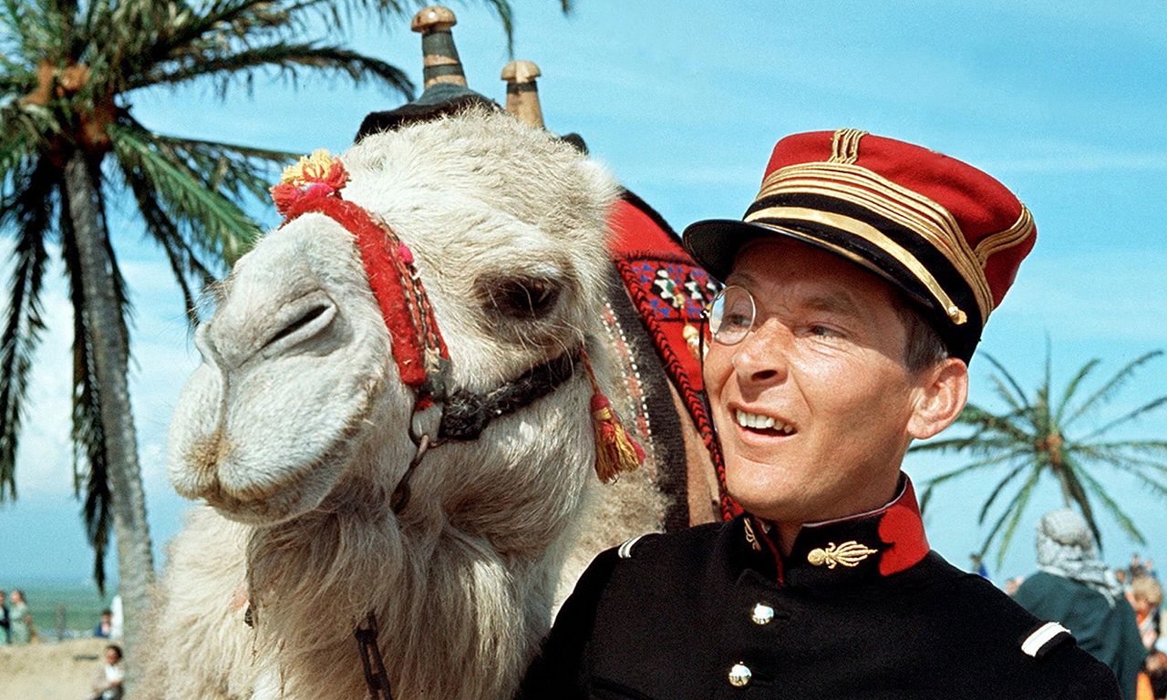 header image for Carry on Follow That Camel