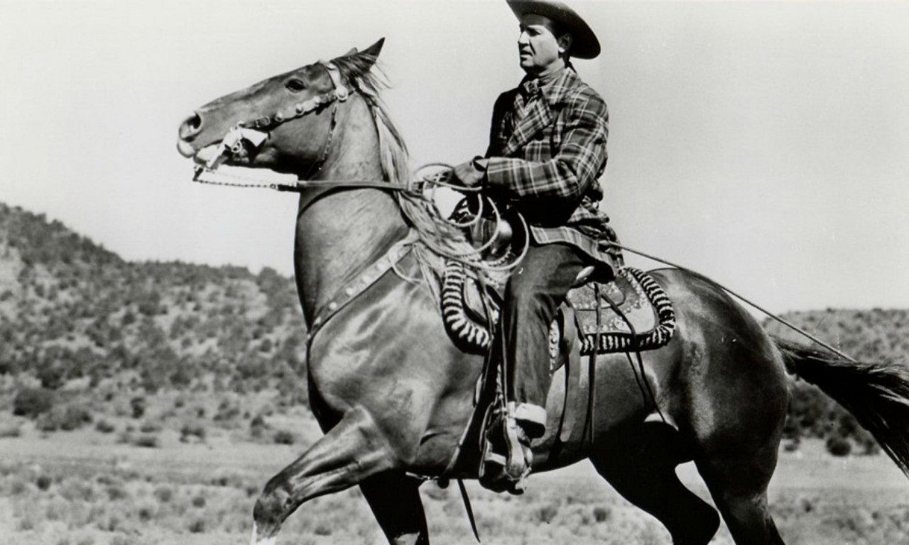 header image for The Strawberry Roan