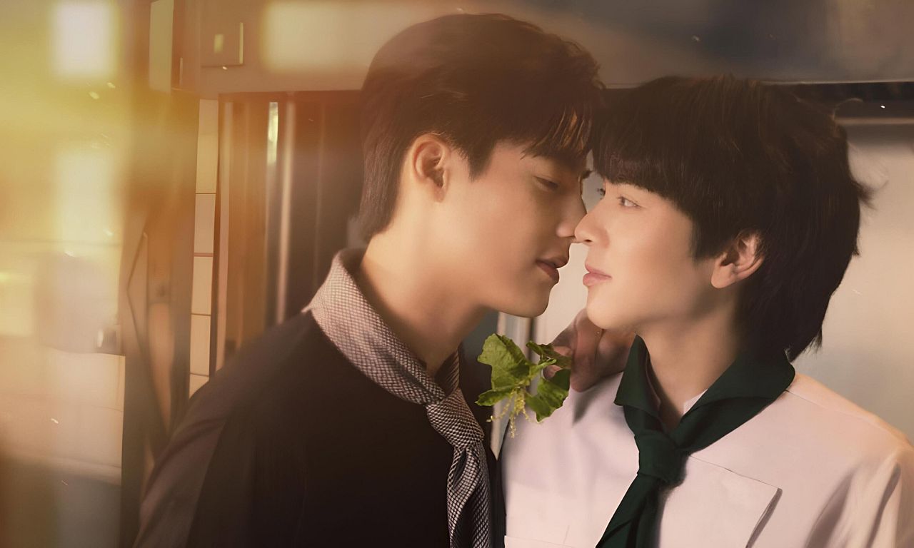 header image for This Love Doesn't Have Long Beans