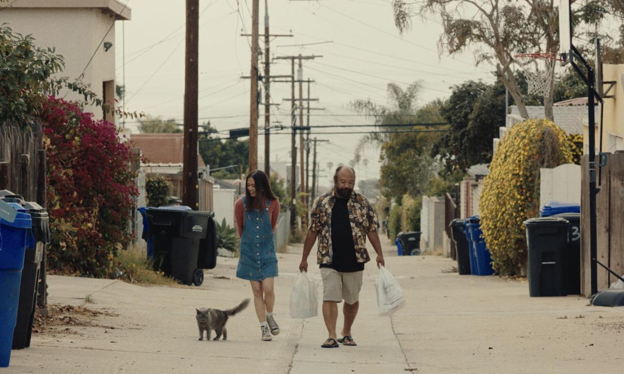 header image for Awaken