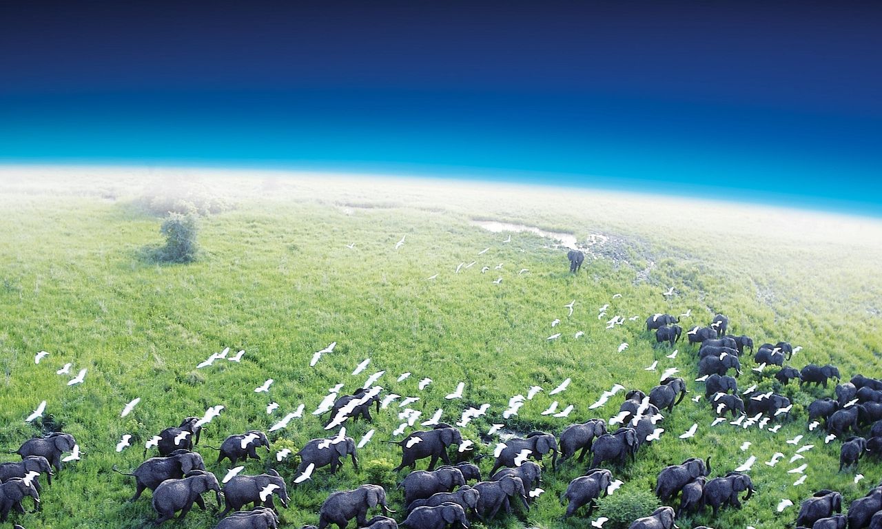 header image for Planet Earth