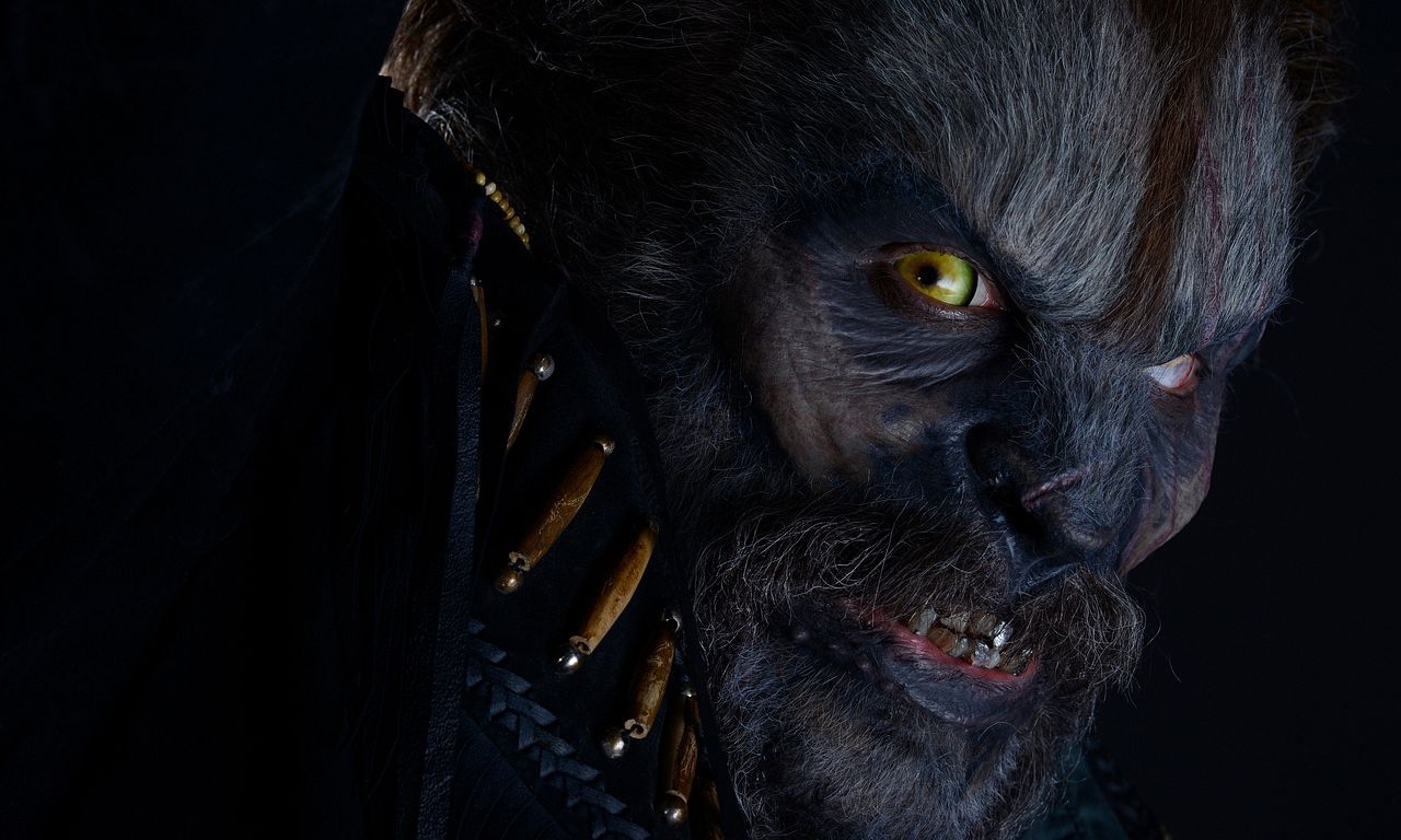 header image for Wolves