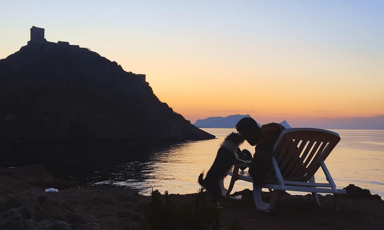 header image for Pets