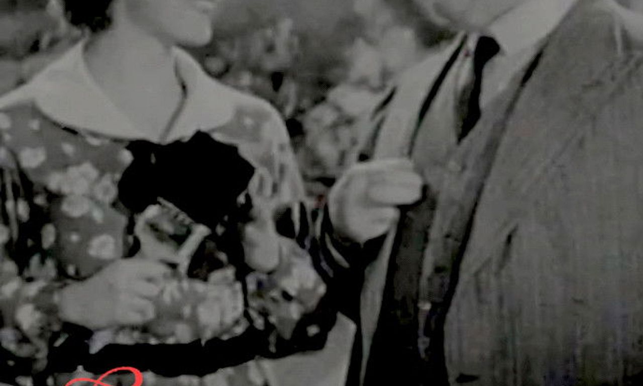 header image for Southern Roses