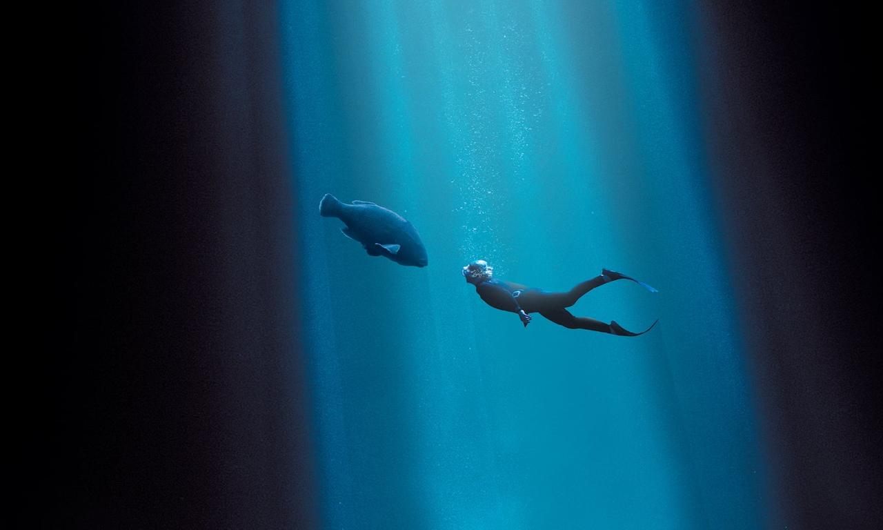 header image for Blueback