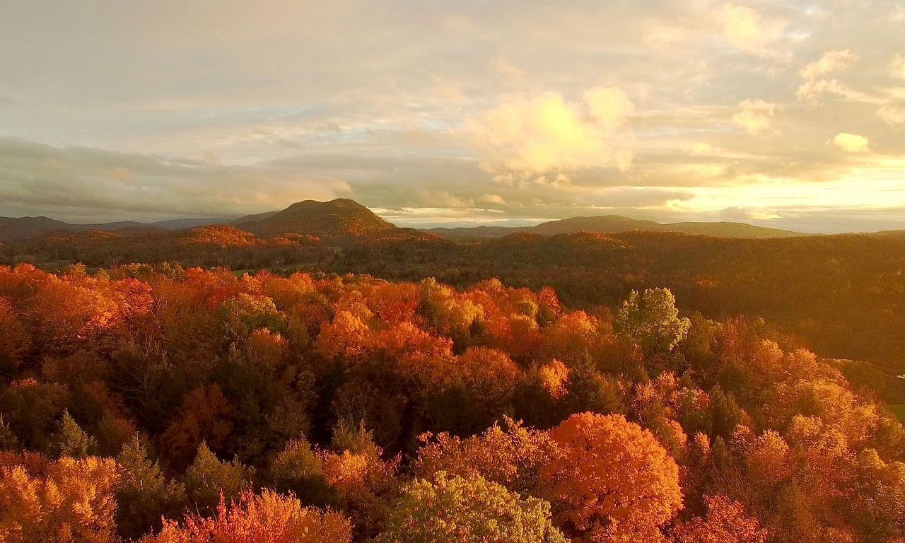 header image for America's Wild Seasons