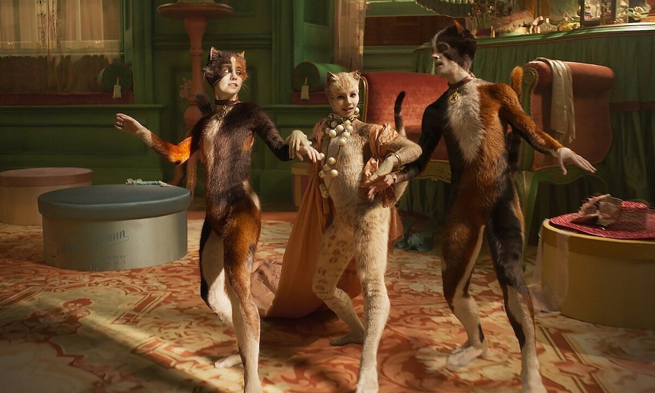 header image for Cats