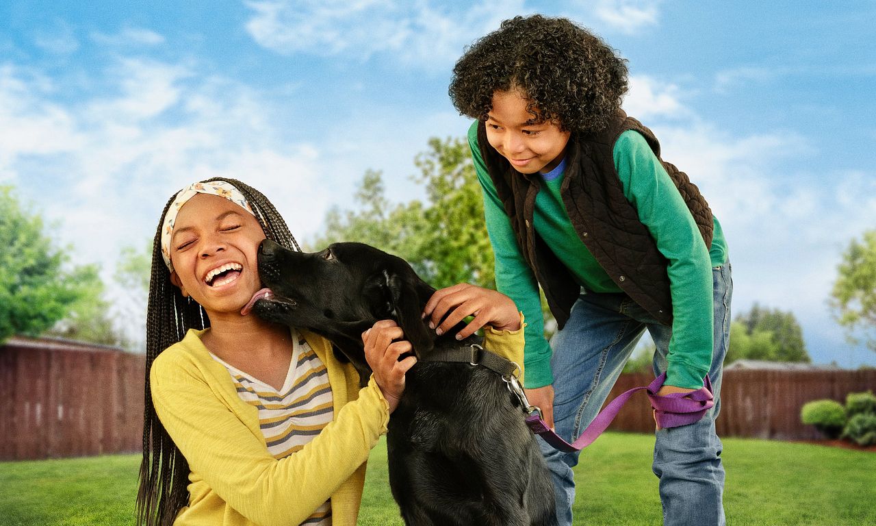 header image for Puppy Place