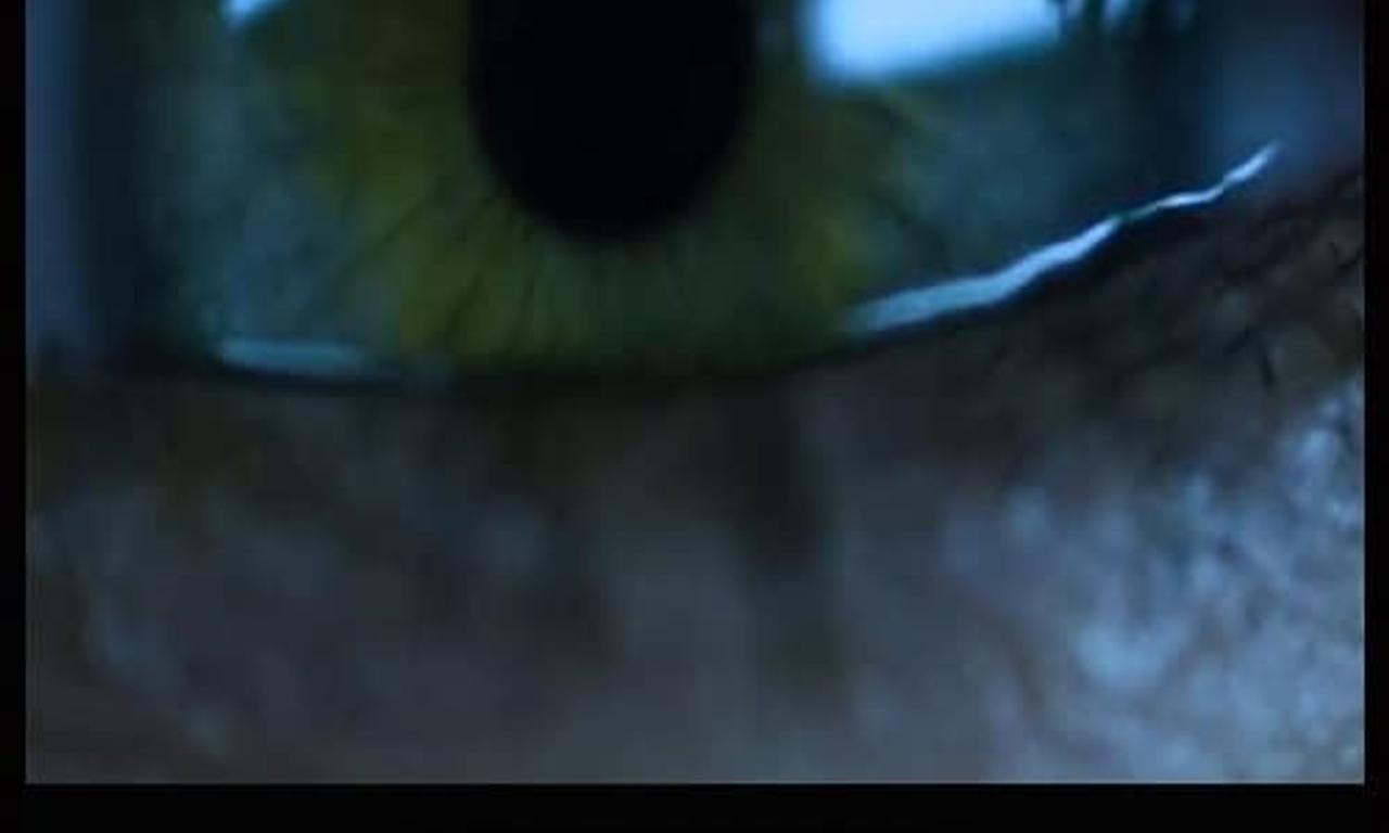 header image for Wake
