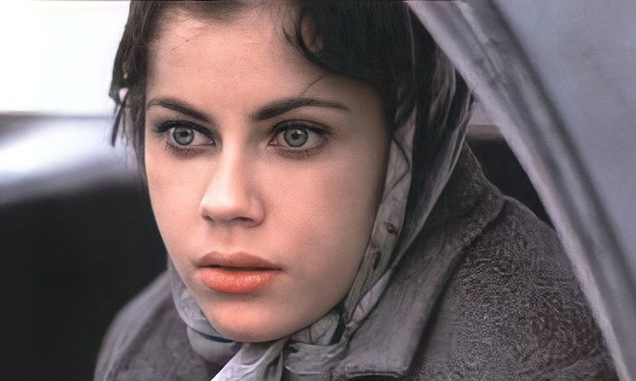 header image for Murder in the Heartland