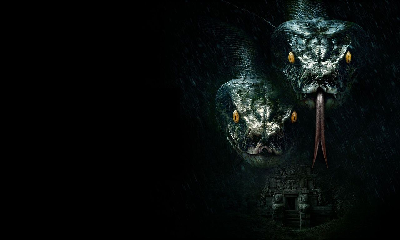 header image for The Anacondas