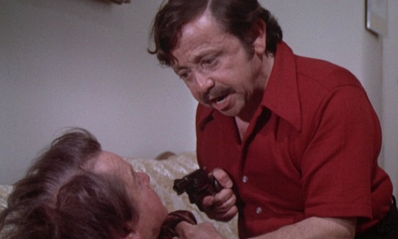 header image for Little Cigars