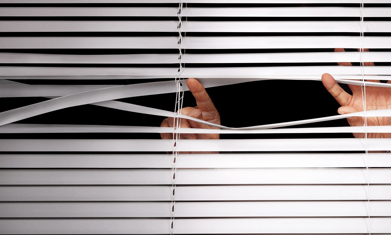 header image for Neighbors