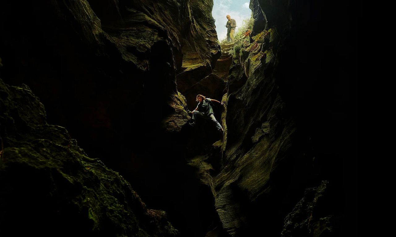 header image for APEX