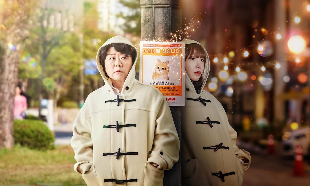 header image for Miss Night and Day