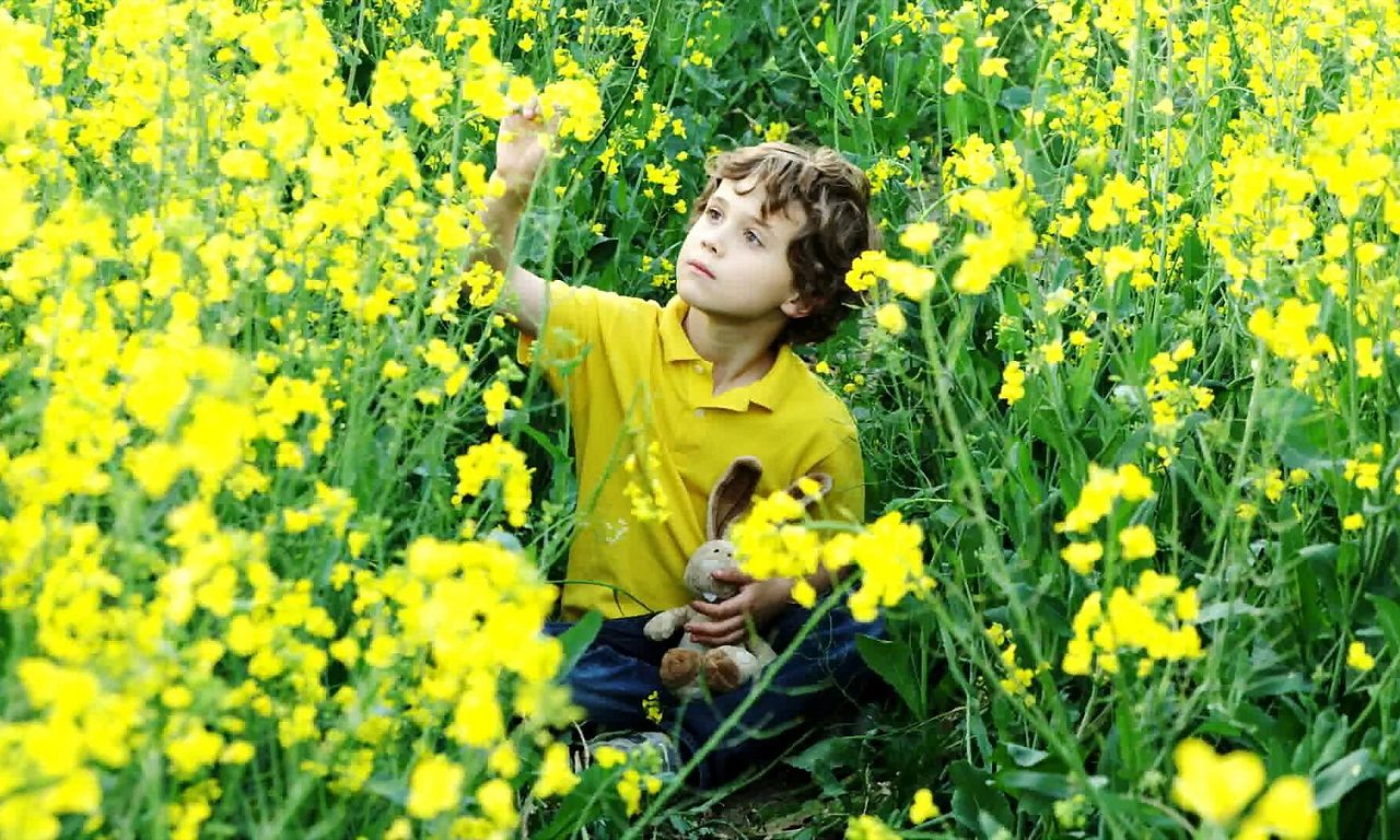 header image for Archie