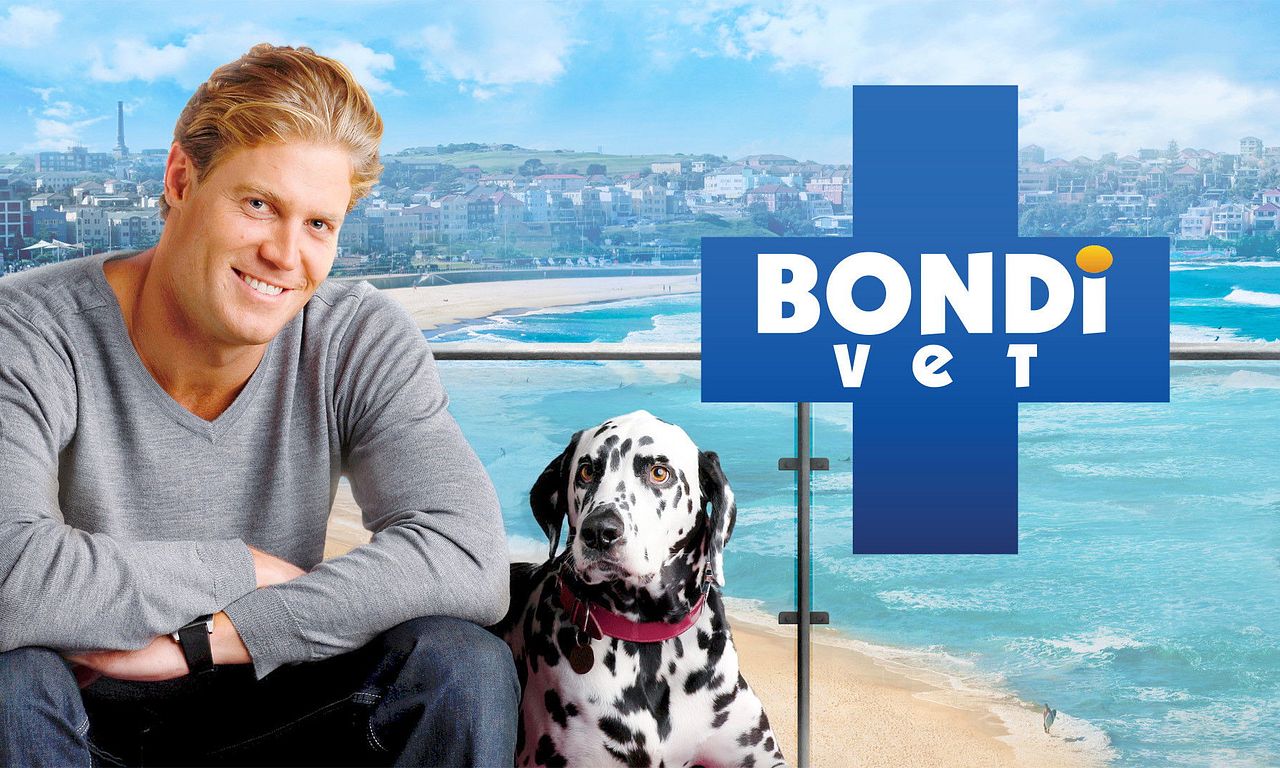 header image for Bondi Vet