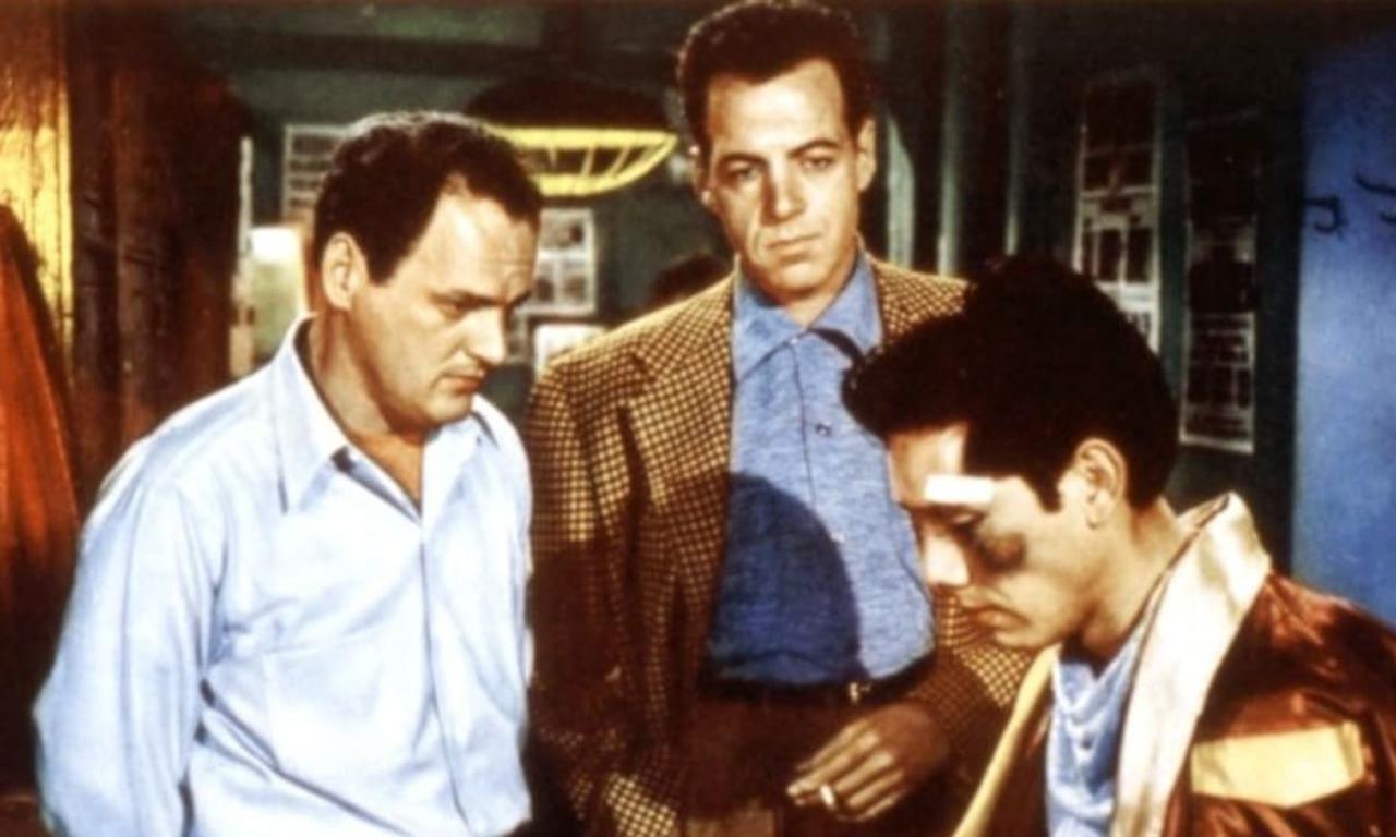 header image for The Ring