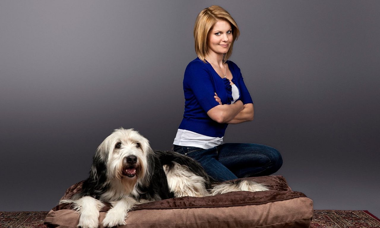 header image for Puppy Love