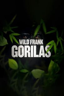 https://images.entertainment.ie/media/season/63ZPhFi5XT4MFJ9f4QbtgOh8iZ5.jpg