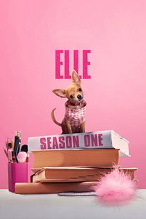 https://images.entertainment.ie/media/season/8LYI0ElrDU1mz6Ng7ZofQisD4ze.jpg