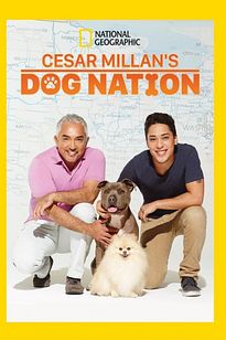 https://images.entertainment.ie/media/season/8kAwVDGNboXuotjqv8EWvzUPpo0.jpg