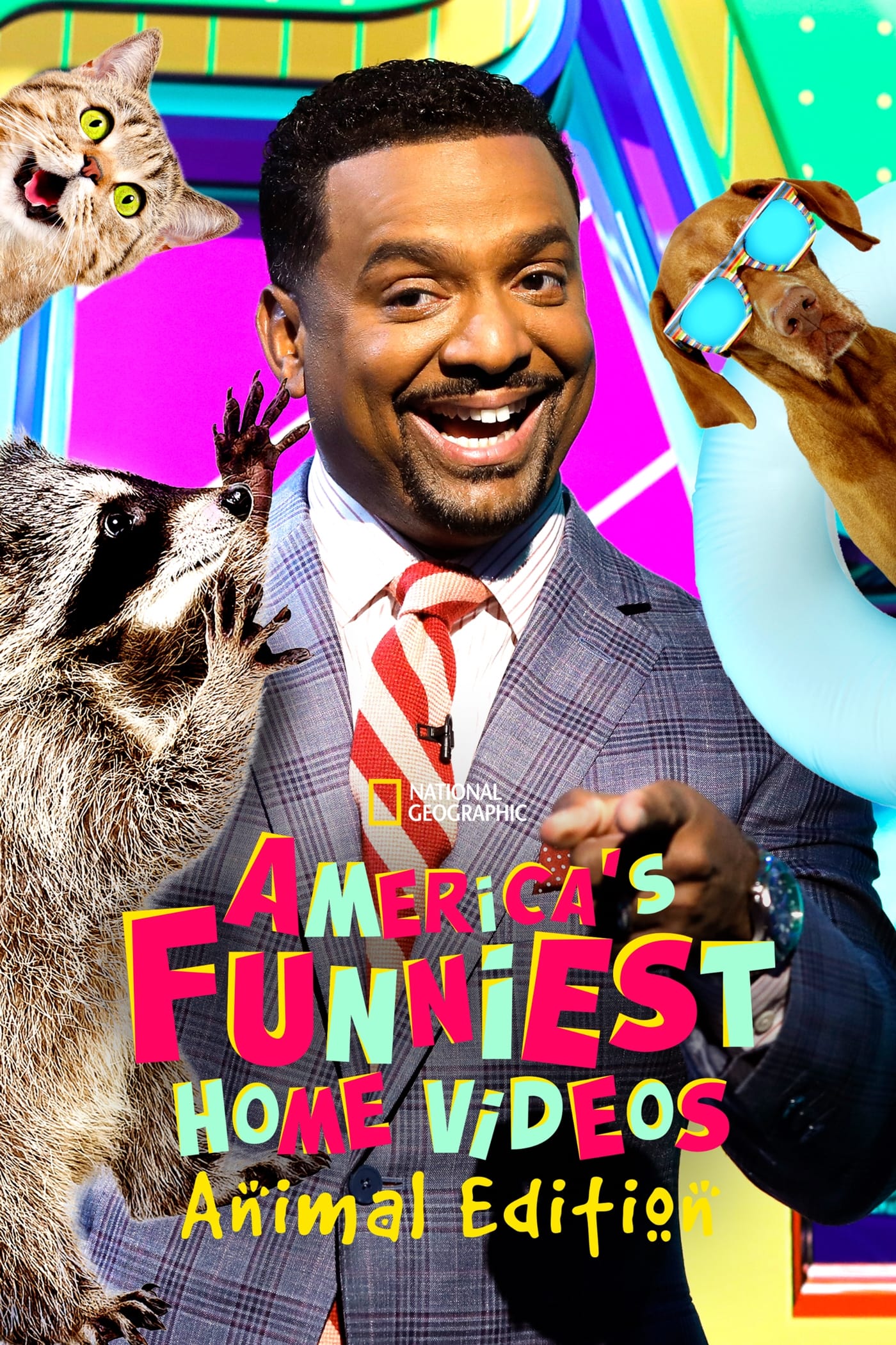 America's Funniest Home Videos Animal Edition Where to Watch and