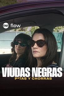https://images.entertainment.ie/media/season/gR7d3bye06fyX9QnXVkXVrvjd8V.jpg