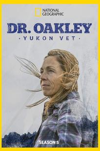 https://images.entertainment.ie/media/season/wz4eks4g3MNR93CCrhG3BAXOQXB.jpg
