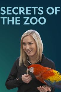 https://images.entertainment.ie/media/season/zwH6i36wCtMDiZmf0gdHw6oM0v2.jpg
