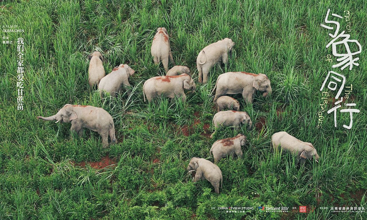 header image for March of the Elephants