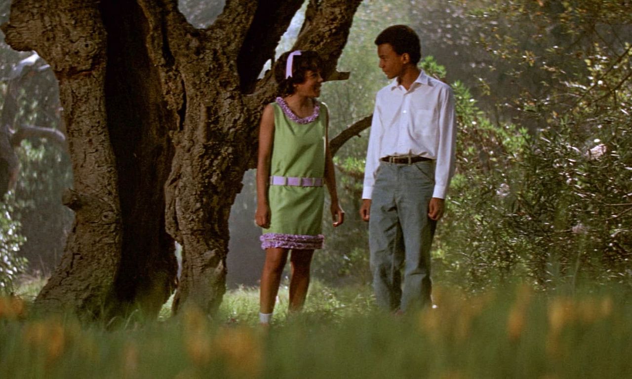 header image for The Learning Tree