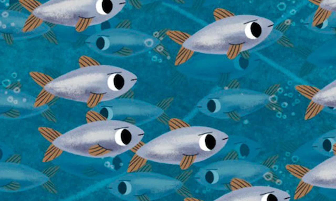 header image for Pond