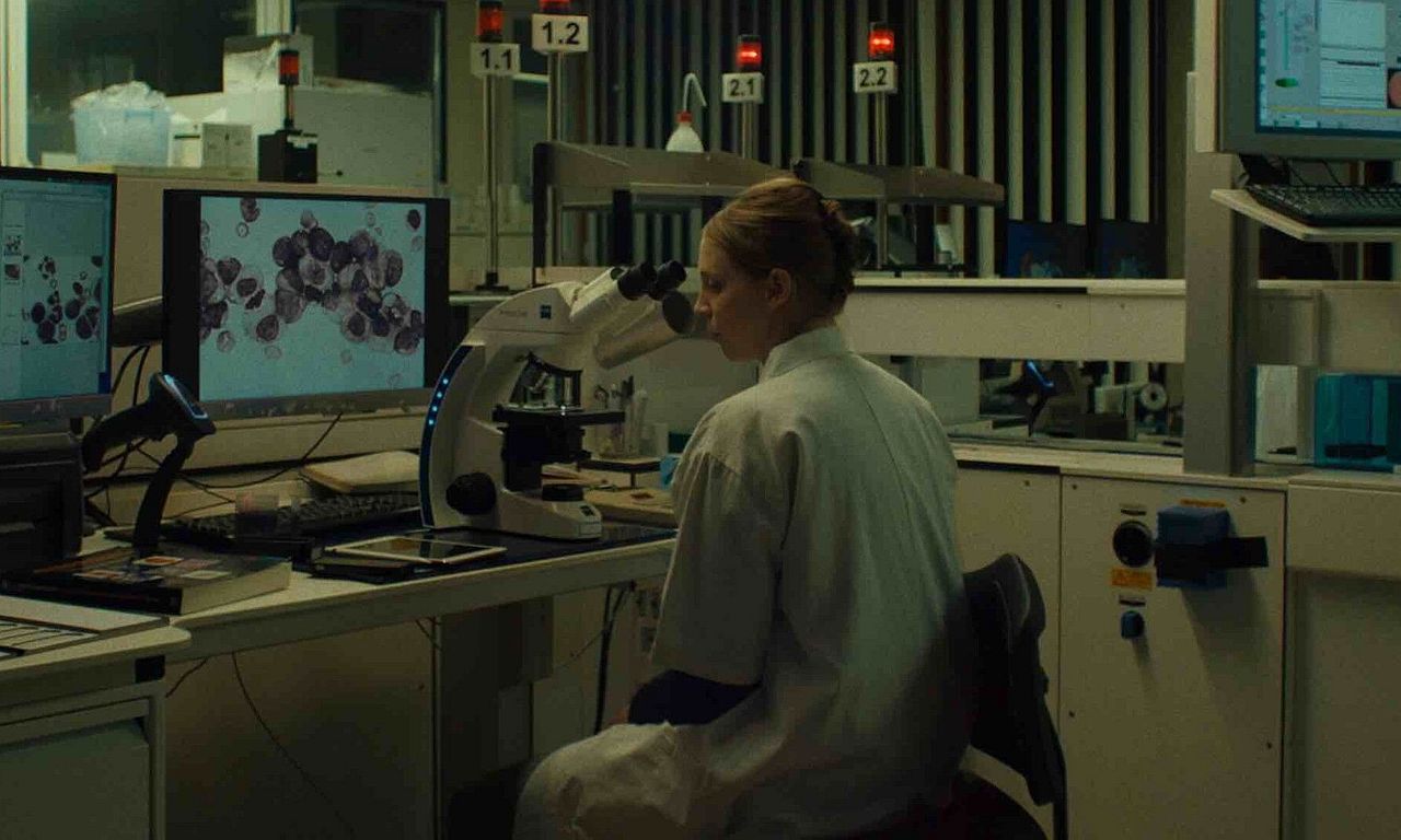 header image for Ligie