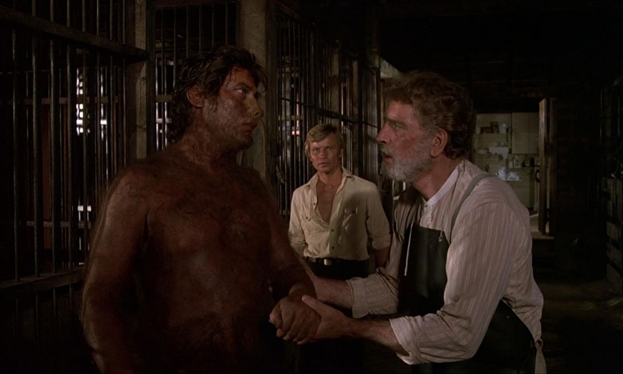 header image for The Island of Dr Moreau