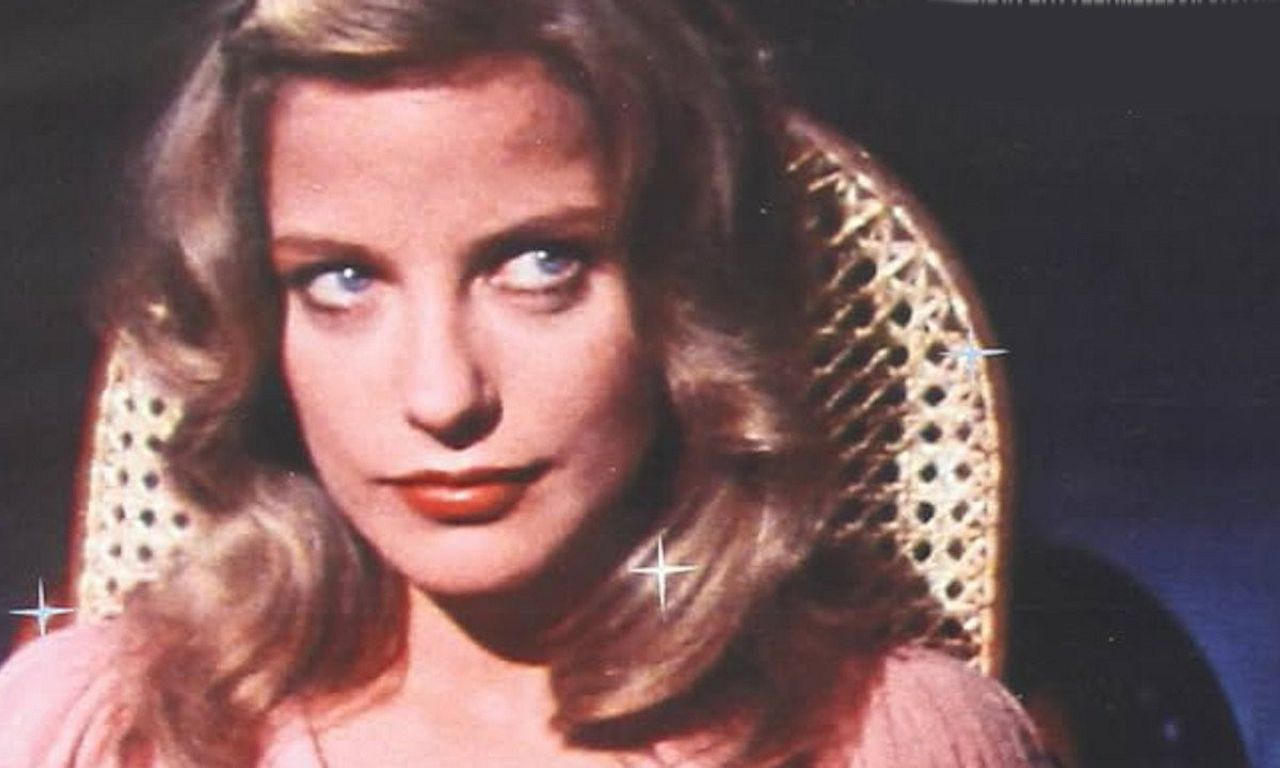 header image for The Perfect Woman