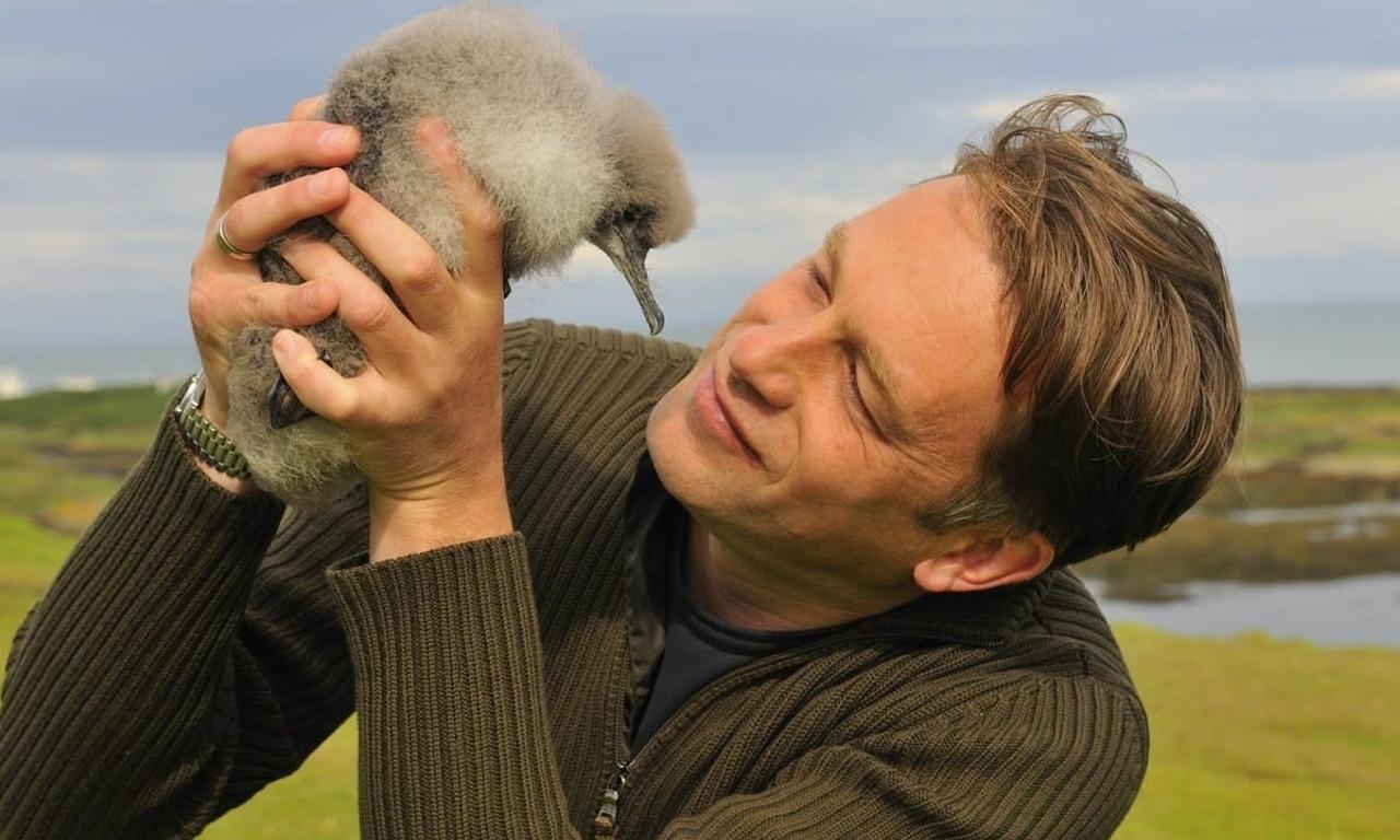 header image for The Animal's Guide to Britain